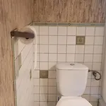 Stajnia Dorado Goscinne I Leoncin