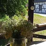 Stajnia Dorado Goscinne I *