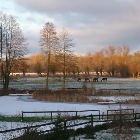 Stajnia Dorado Goscinne I Alojamento de Turismo Rural Leoncin