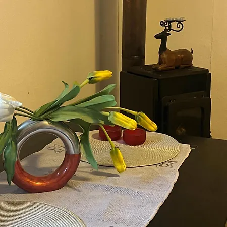 Agroturystyka Stajnia Dorado Pokoje Goscinne I Apartamenty * Leoncin