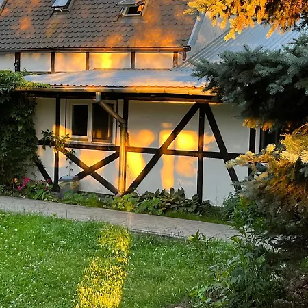 Stajnia Dorado Goscinne I Leoncin