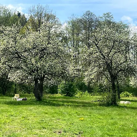 Stajnia Dorado Goscinne I Bauernhof