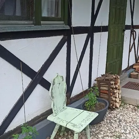 Stajnia Dorado Goscinne I