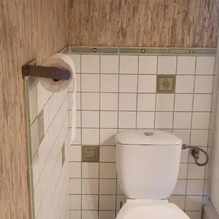 Stajnia Dorado Goscinne I Leoncin