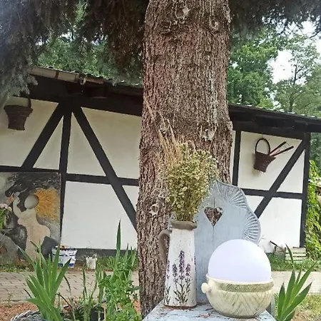 Agroturystyka Stajnia Dorado Pokoje Goscinne I Apartamenty * Leoncin