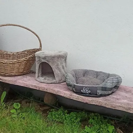 Stajnia Dorado Goscinne I Alojamento de Turismo Rural *