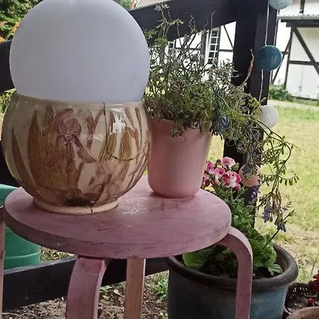 Bauernhof Stajnia Dorado Goscinne I *