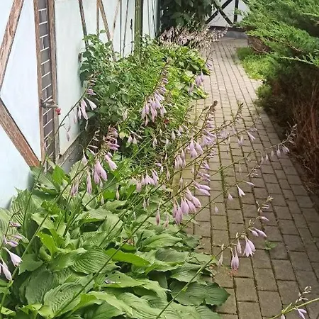 Stajnia Dorado Goscinne I Alojamento de Turismo Rural Leoncin