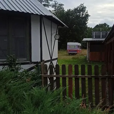 Stajnia Dorado Goscinne I Leoncin