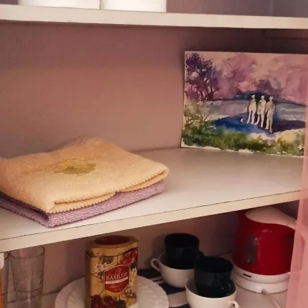 Stajnia Dorado Goscinne I Leoncin