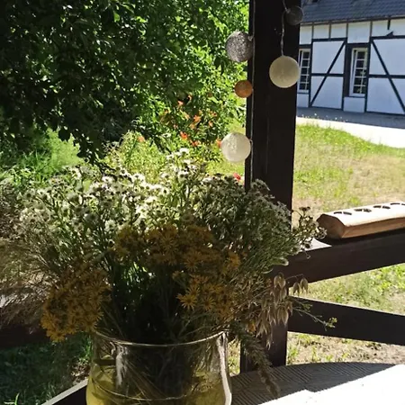 Stajnia Dorado Goscinne I *