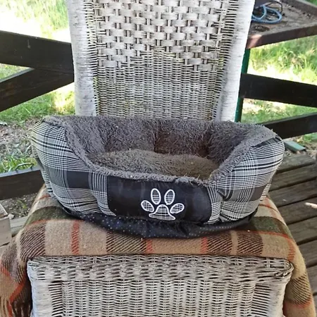 Stajnia Dorado Goscinne I Alojamento de Turismo Rural Leoncin