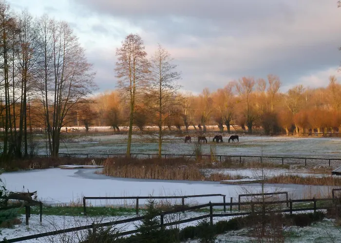 Stajnia Dorado Gościnne I Gospodarstwo agroturystyczne Leoncin