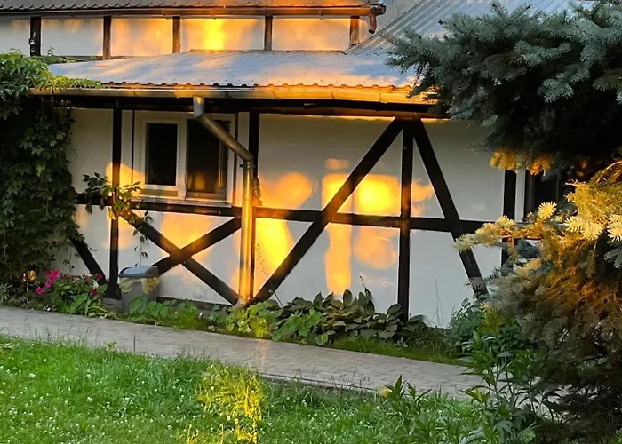 Stajnia Dorado Gościnne I Leoncin