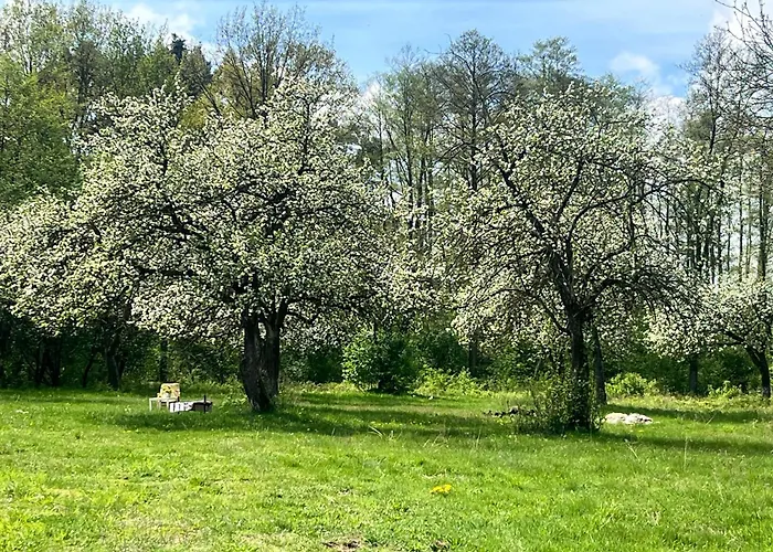 Stajnia Dorado Gościnne I Gospodarstwo agroturystyczne