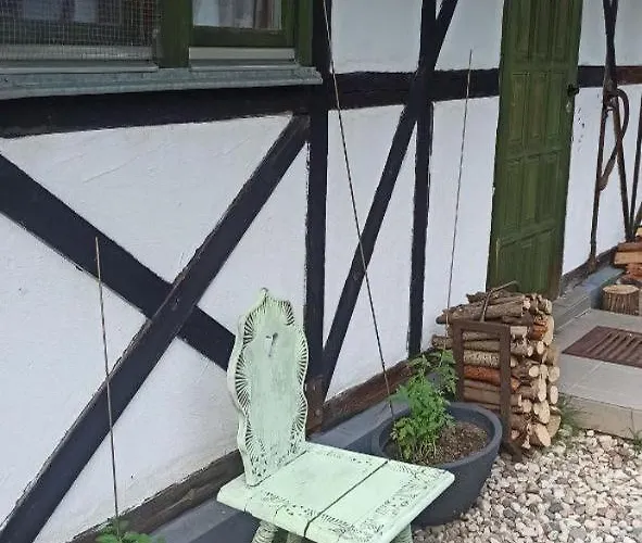 Stajnia Dorado Gościnne I