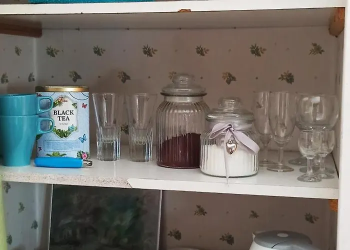 Stajnia Dorado Gościnne I Gospodarstwo agroturystyczne *