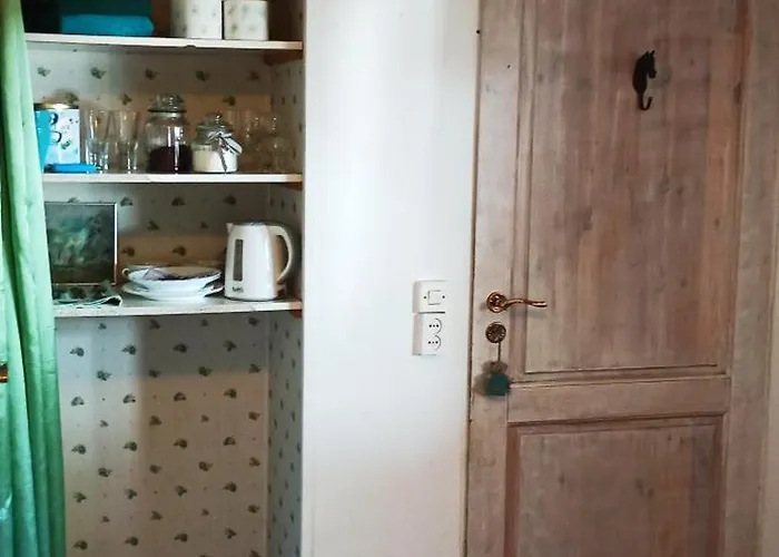 Stajnia Dorado Gościnne I Leoncin