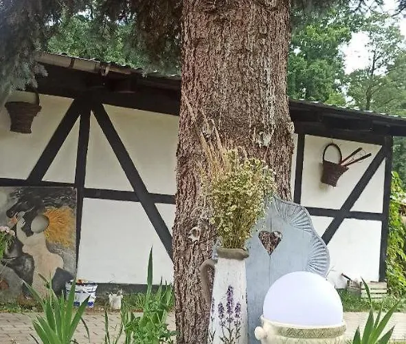 Stajnia Dorado Gościnne I * Leoncin