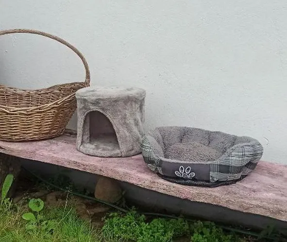 Stajnia Dorado Gościnne I Gospodarstwo agroturystyczne *