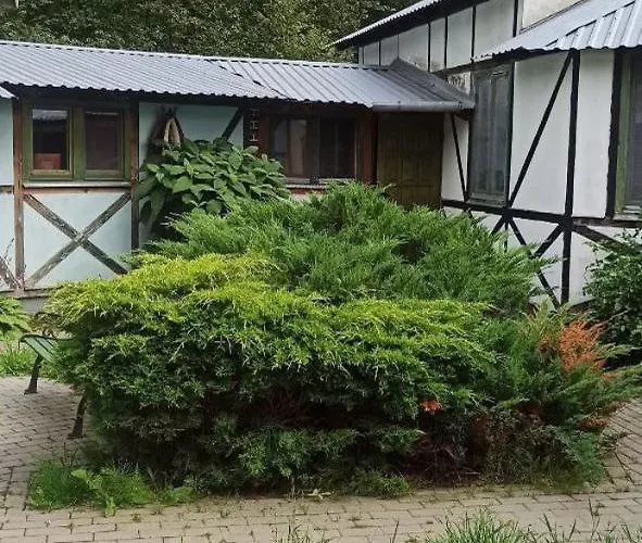 Stajnia Dorado Gościnne I * Leoncin