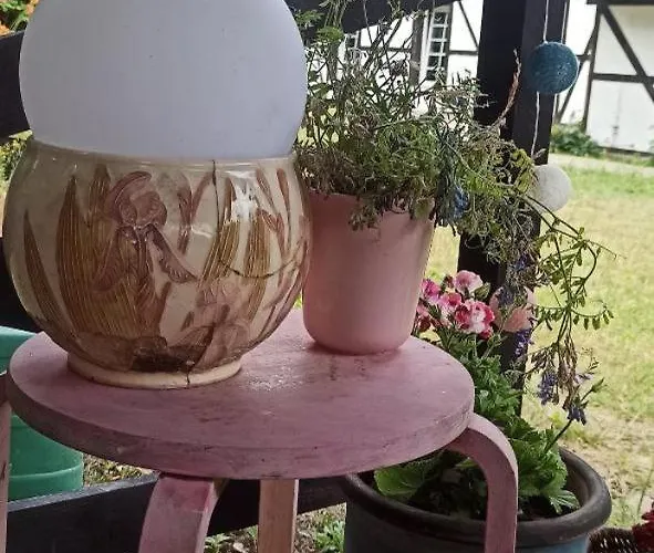 Gospodarstwo agroturystyczne Stajnia Dorado Gościnne I *