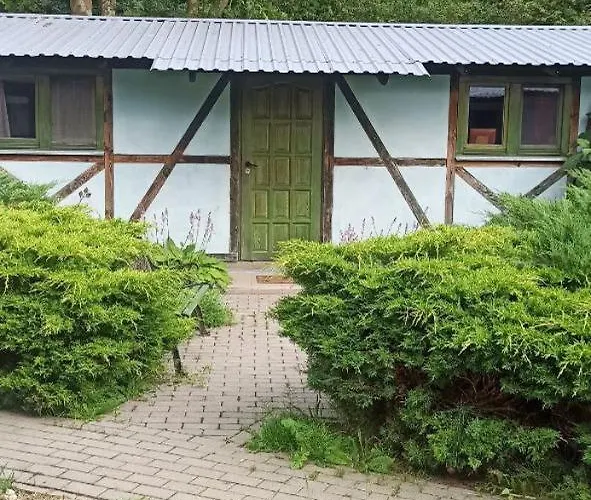 Stajnia Dorado Gościnne I * Leoncin