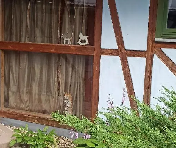 Gospodarstwo agroturystyczne Stajnia Dorado Gościnne I