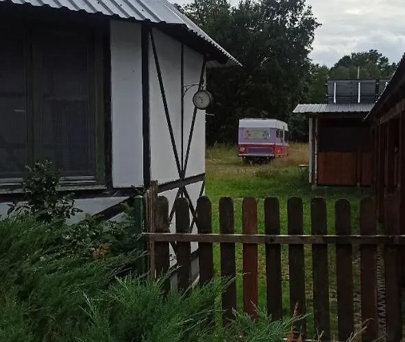 Stajnia Dorado Gościnne I Leoncin