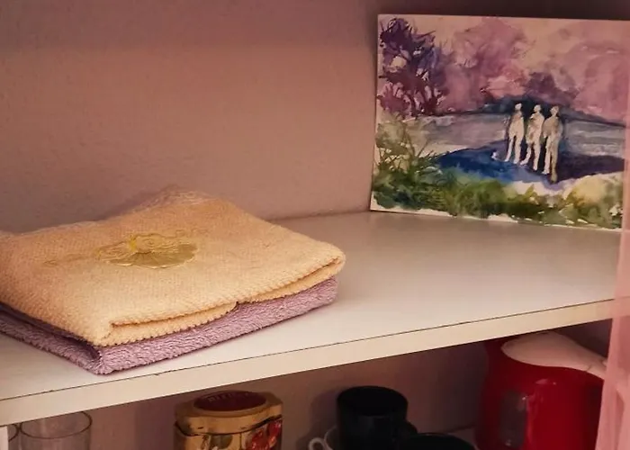 Stajnia Dorado Gościnne I Leoncin