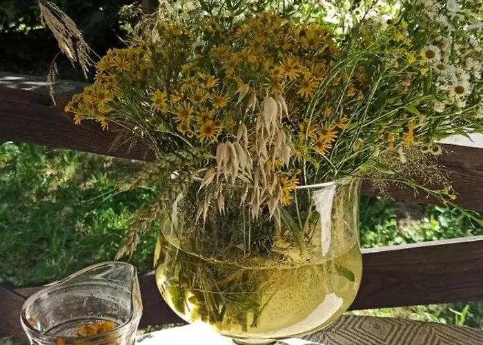 Gospodarstwo agroturystyczne Stajnia Dorado Gościnne I *