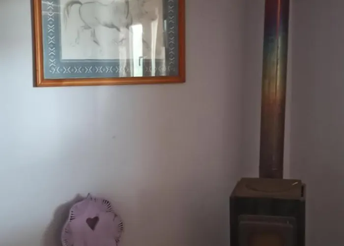 Stajnia Dorado Gościnne I Gospodarstwo agroturystyczne Leoncin