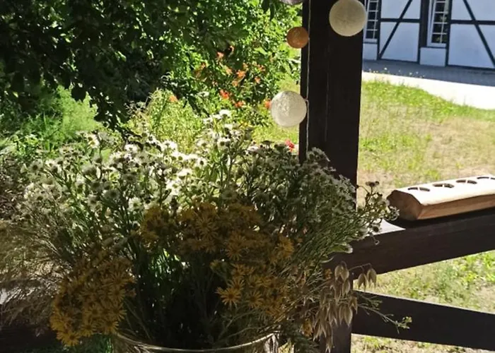 Stajnia Dorado Gościnne I *