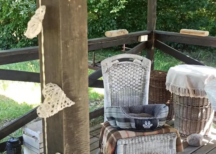 Stajnia Dorado Gościnne I Gospodarstwo agroturystyczne