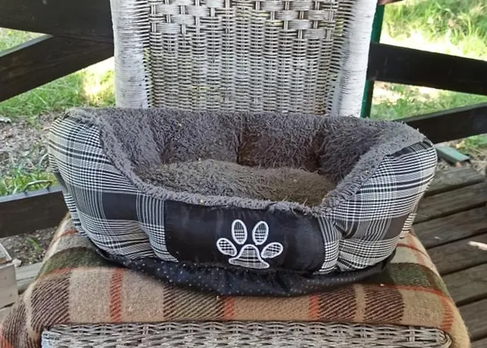 Stajnia Dorado Gościnne I Gospodarstwo agroturystyczne Leoncin